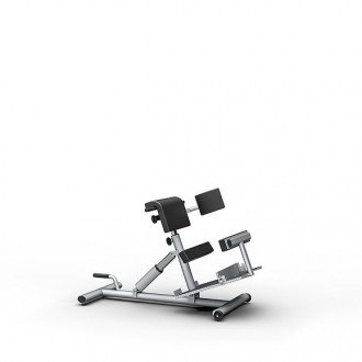 Скамья для гиперэкстензии Proxomed Compass MTT Trunk Trainer Combi в Челябинске