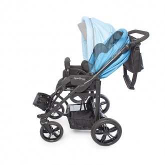 Детская прогулочная коляска ДЦП Liwcare Modi Buggy на раме Rico в Челябинске
