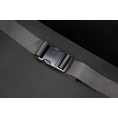 2-точечный ремень