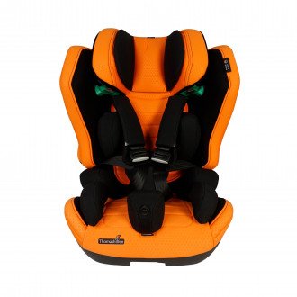 Детское автомобильное кресло ДЦП Thomashilfen RECARO Axion 1 Reha в Челябинске