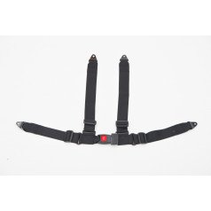 4-точечный ремень