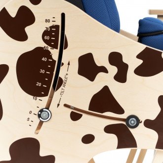 Детская комнатная кресло-коляска Akcesmed Dalmatian Invanto Dt-2 в Челябинске