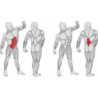 Тренажёр механотерапевтический для мышц пресса и спины Hur Rehabilitation 5310 в Челябинске