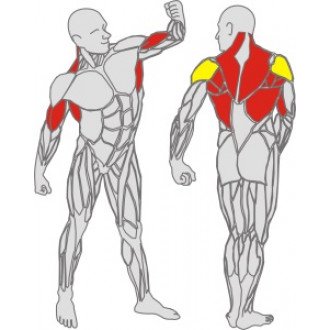 Тренажёр механотерапевтический для рук и спины Hur Rehabilitation 5175 в Челябинске