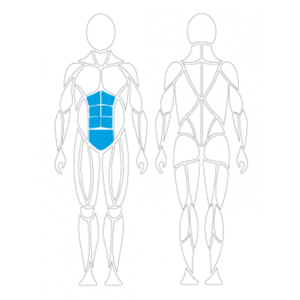 Тренажёр механотерапевтический для пресса David Abdominal Crunch G130 в Челябинске