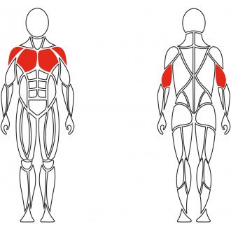 Тренажёр механотерапевтический для мышц груди David Chest Press G510 в Челябинске