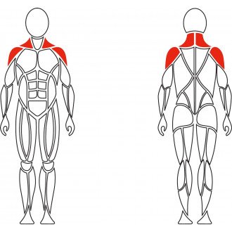 Тренажер механотерапевтический David Shoulder Concept F620 разведение рук в стороны в Челябинске