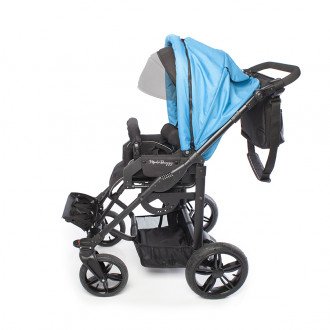 Детская прогулочная коляска ДЦП LIWCare Modi Buggy в Челябинске